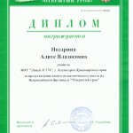 фестиваль 2006